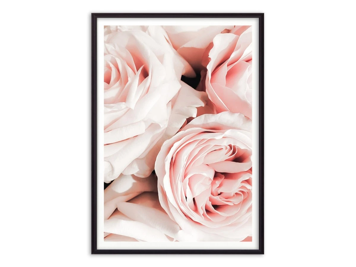 Постер в рамке Розовые розы 882884  - фото 1