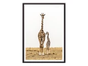 Постер в рамке Жирафы