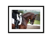 Постер в рамке Конная прогулка