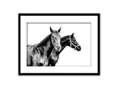 Постер в рамке Две лошади 2