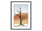 Постер в рамке Дерево в пустыне