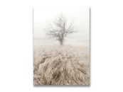 Картина на холсте Дерево в тумане