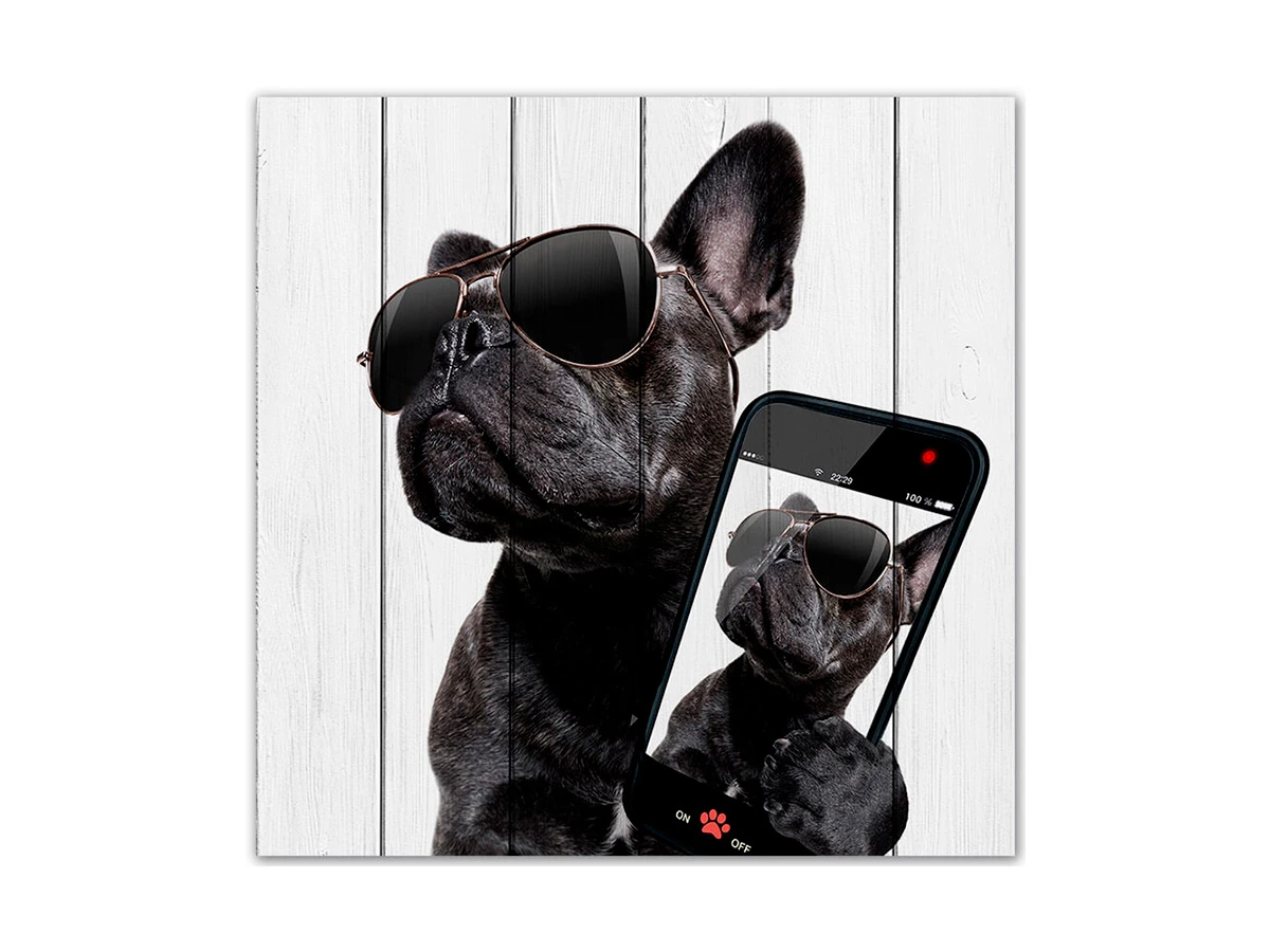 Картина Собака с телефоном 883695