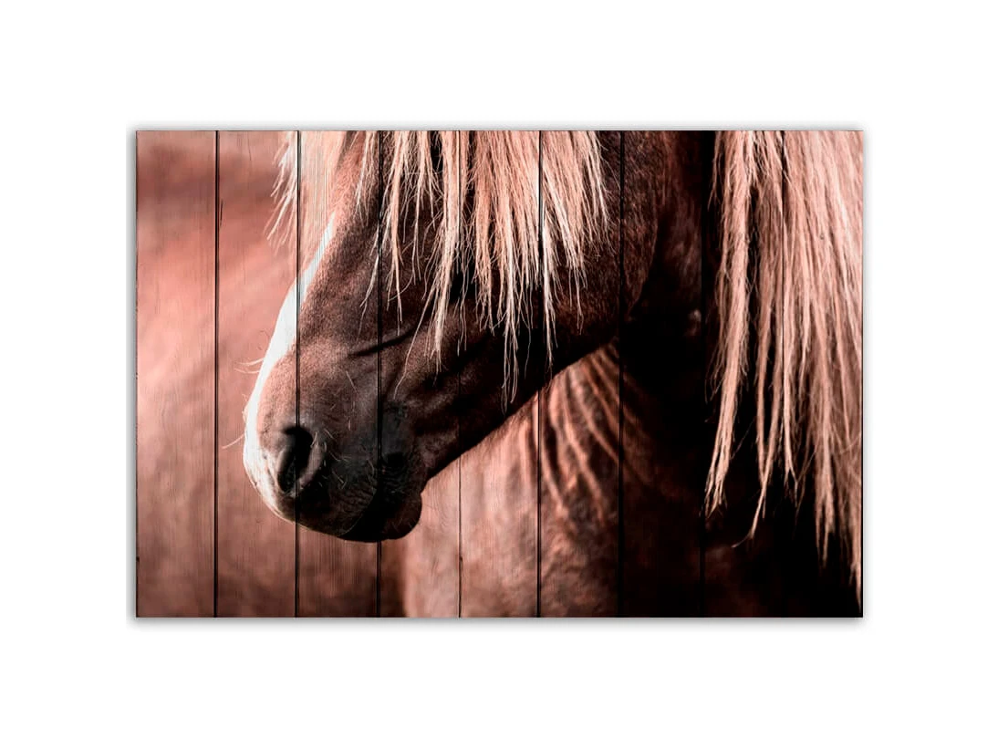 Картина Скандинавская лошадь 883743