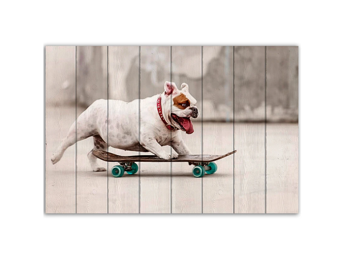 Картина Собака на скейте 883820