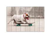 Картина Собака на скейте 883828