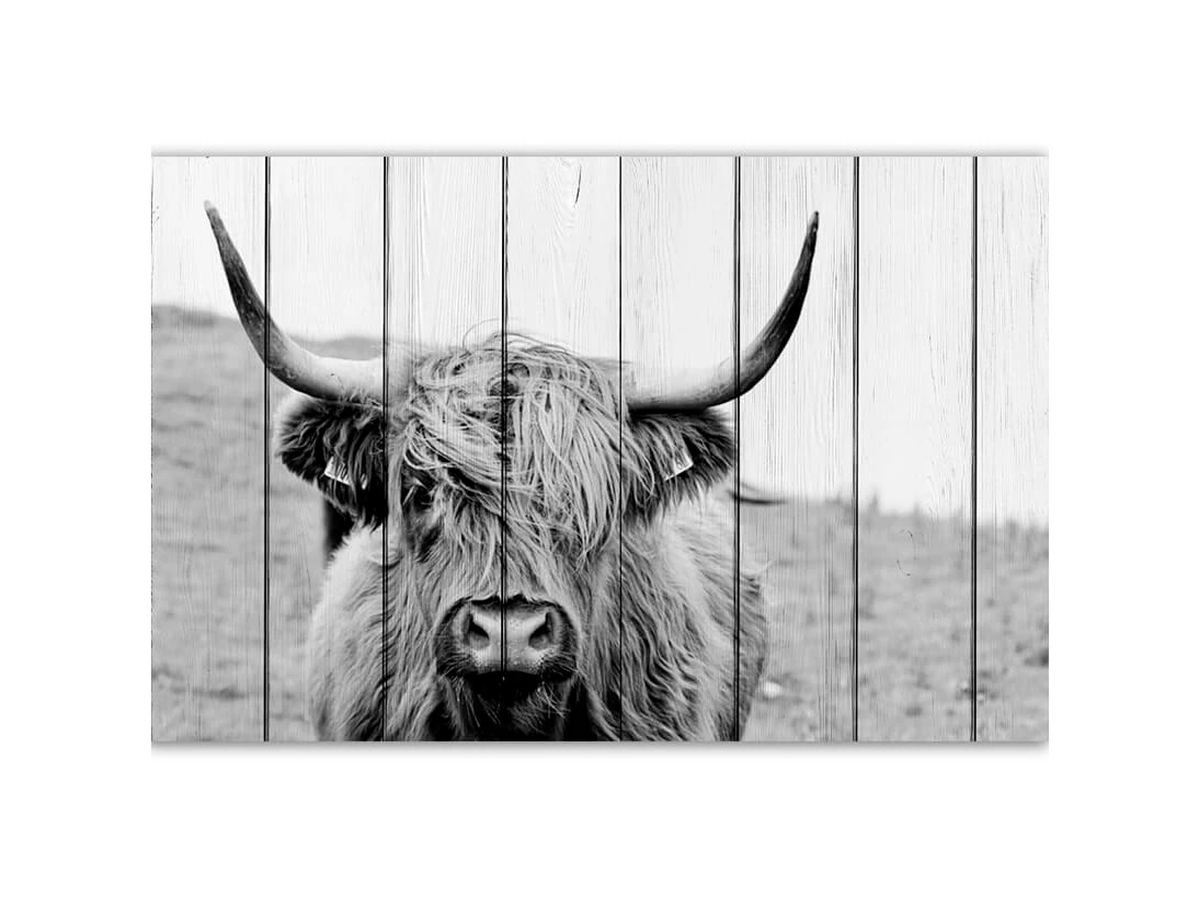 Картина Шотландская корова 883870  - фото 1