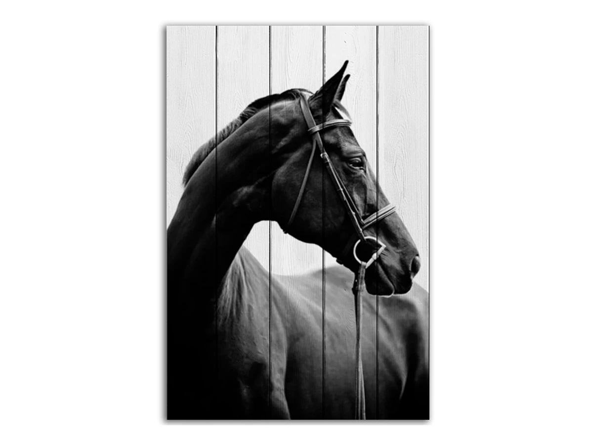 Картина Черная лошадь 884035