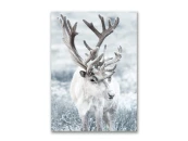 Картина на холсте Северный олень №2