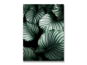 Картина на холсте Зеленые листья №3