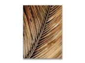 Картина на холсте Золотой лист пальмы