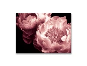 Картина на холсте Розовые пионы №2