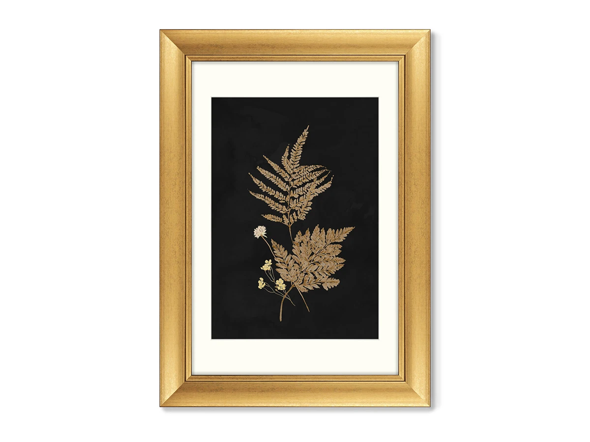 Набор из 3-х репродукций картин в раме Flower herbarium, No1 635267  - фото 4