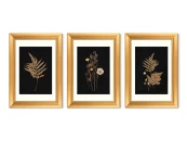 Набор из 3-х репродукций картин в раме Flower herbarium, No1