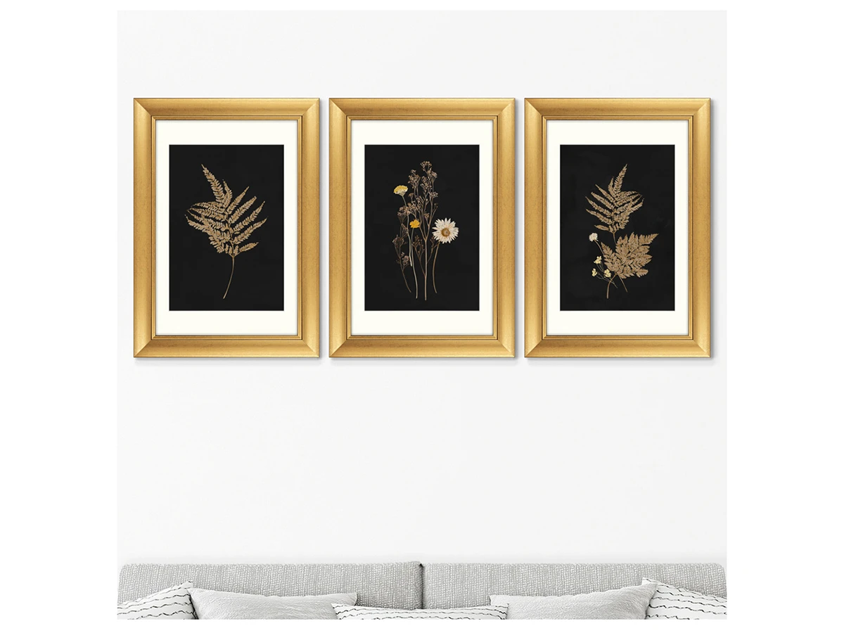 Набор из 3-х репродукций картин в раме Flower herbarium, No1 635267  - фото 3