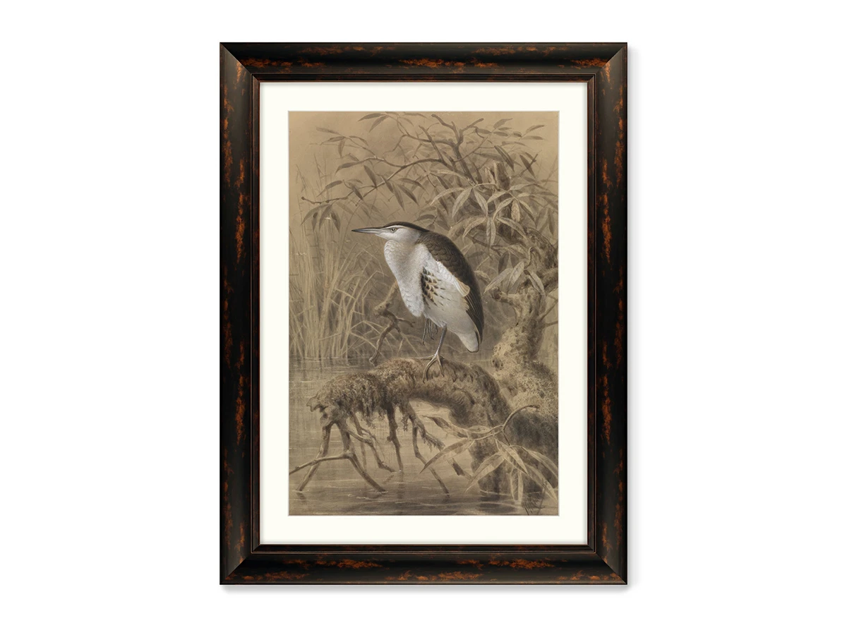 Репродукция картины в раме Птица у озера, 1890г. 635333  - фото 1