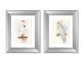 Набор из 2-х репродукций картин в раме Белый какаду, литография, 1855г.