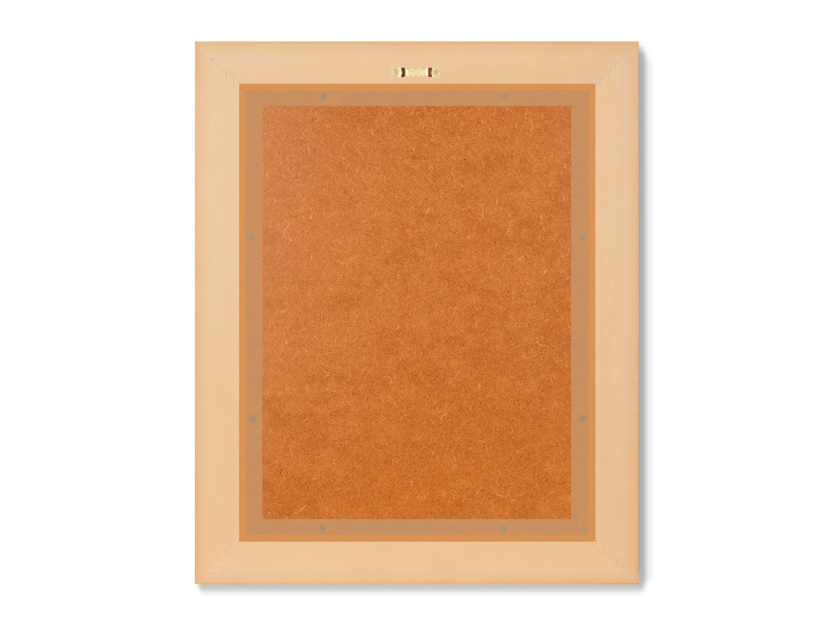 Набор из 2-х репродукций картин в раме Белый какаду, литография, 1855г. 635343  - фото 7