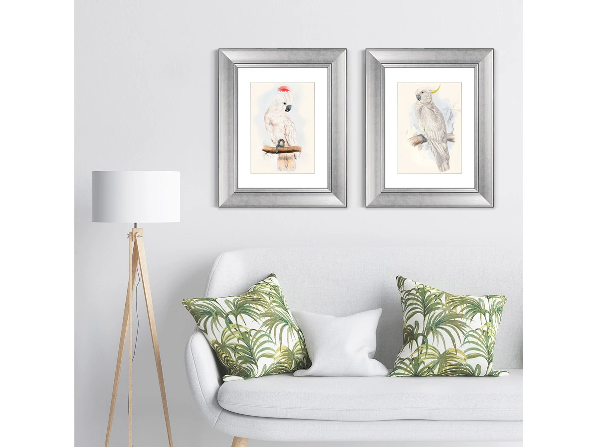 Набор из 2-х репродукций картин в раме Белый какаду, литография, 1855г. 635343  - фото 8