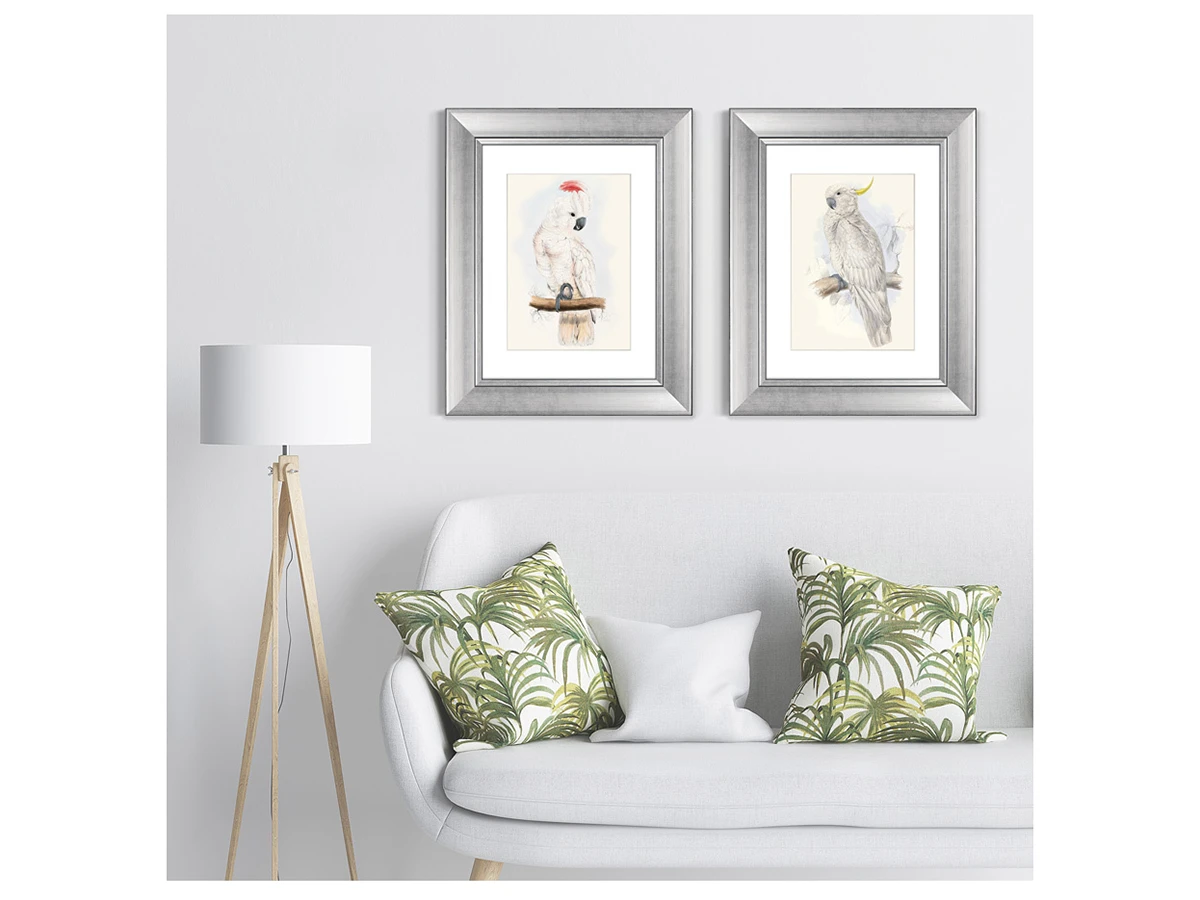 Набор из 2-х репродукций картин в раме Белый какаду, литография, 1855г. 635343  - фото 4