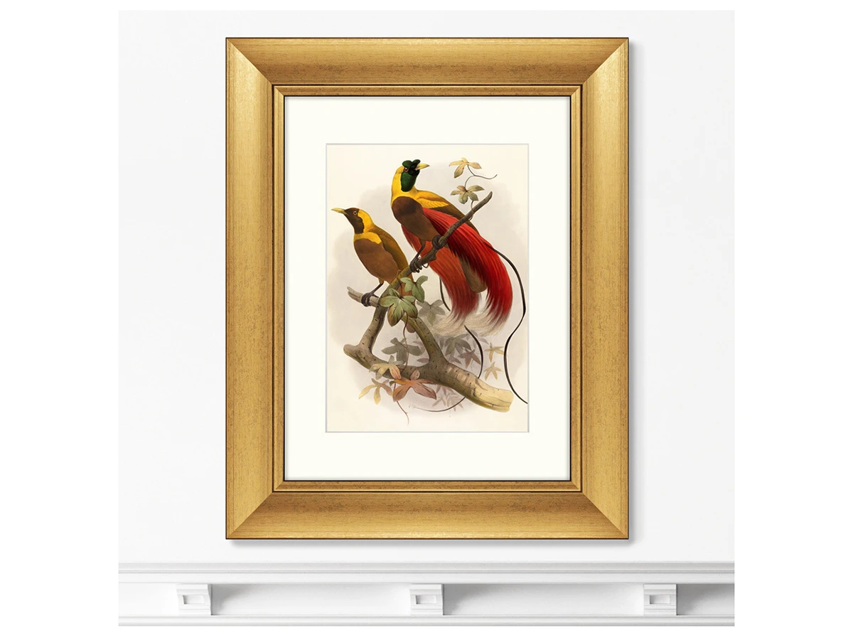 Репродукция картины в раме Красная райская птица, 1880г. 635349  - фото 4