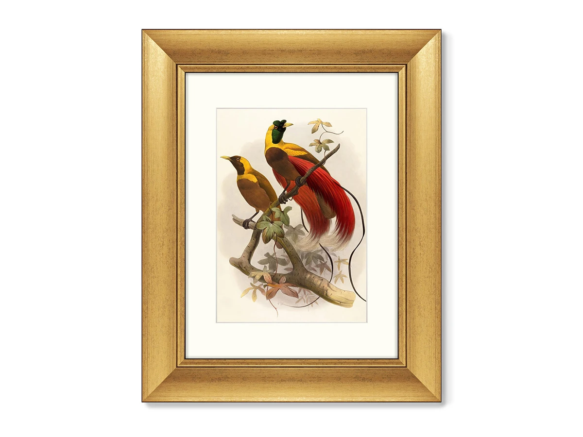 Репродукция картины в раме Красная райская птица, 1880г. 635349