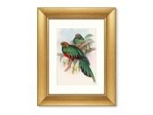 Репродукция картины в раме Квезали, 1885г.