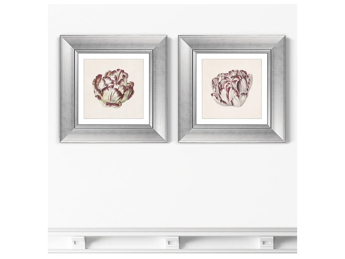 Набор из 2-х репродукций картин в раме Tulp №2, 1815г. 635362  - фото 3