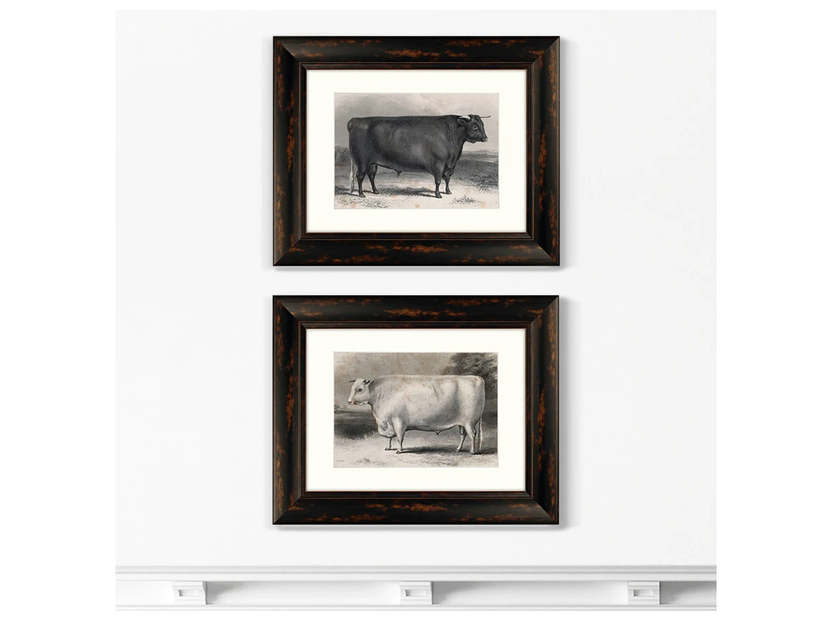 Набор из 2-х репродукций картин в раме A Devon bull, 1849г. 635366  - фото 3
