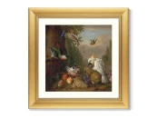 Репродукция картины в раме A cockatoo, a parrot, a jay and other birds, 1715г.