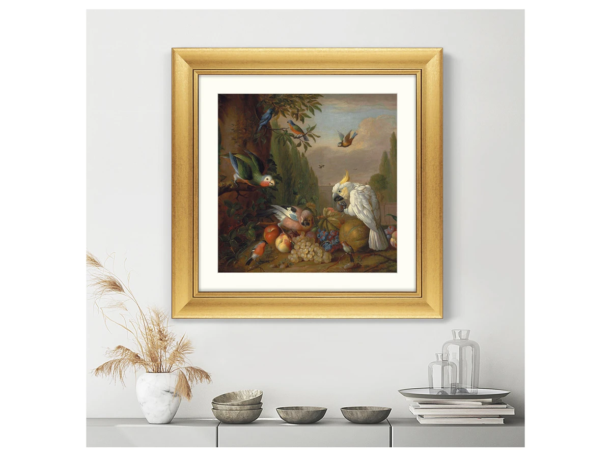 Репродукция картины в раме A cockatoo, a parrot, a jay and other birds, 1715г. 635375