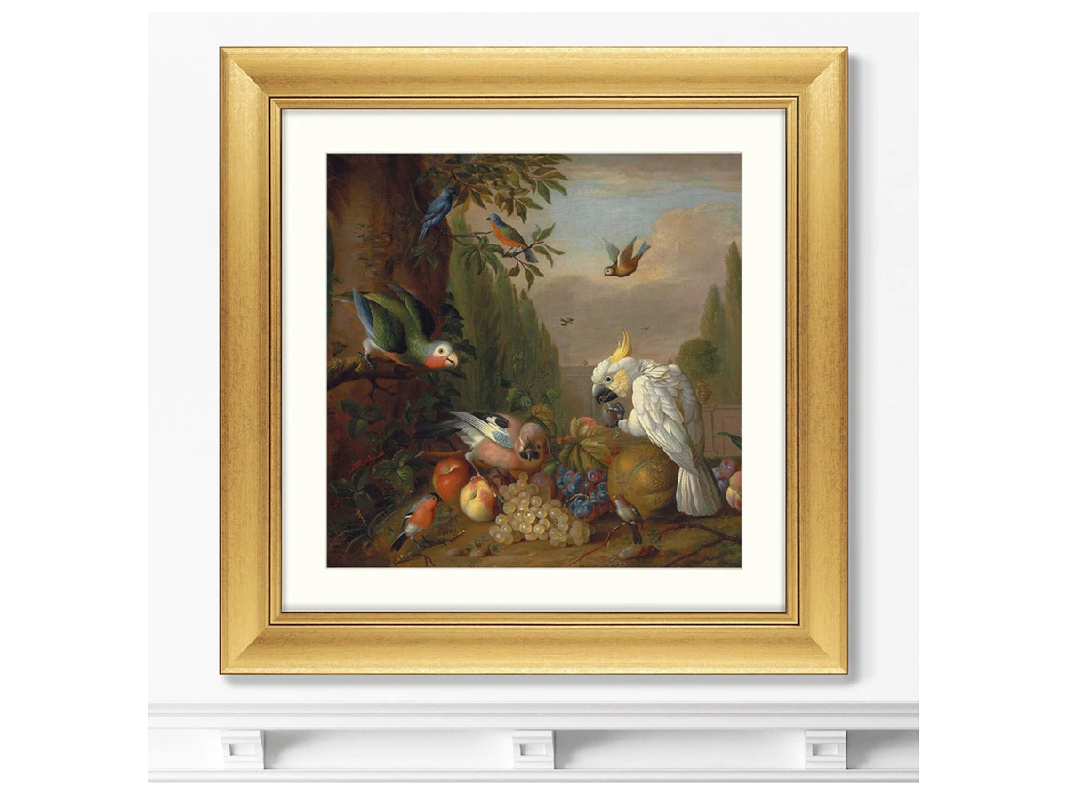Репродукция картины в раме A cockatoo, a parrot, a jay and other birds, 1715г. 635375  - фото 3