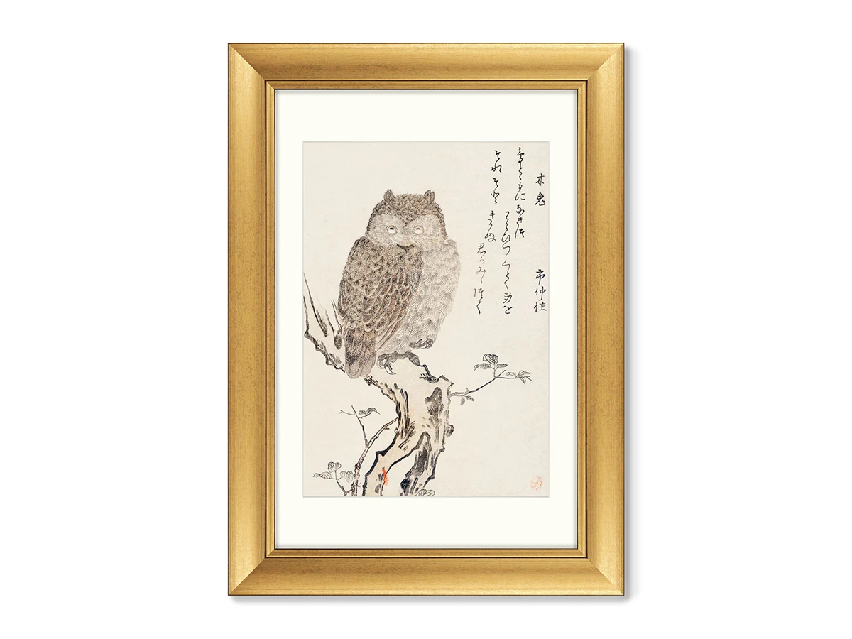 Набор из 2-х репродукций картин в раме Smart owl watching, 1793г. 635401  - фото 2