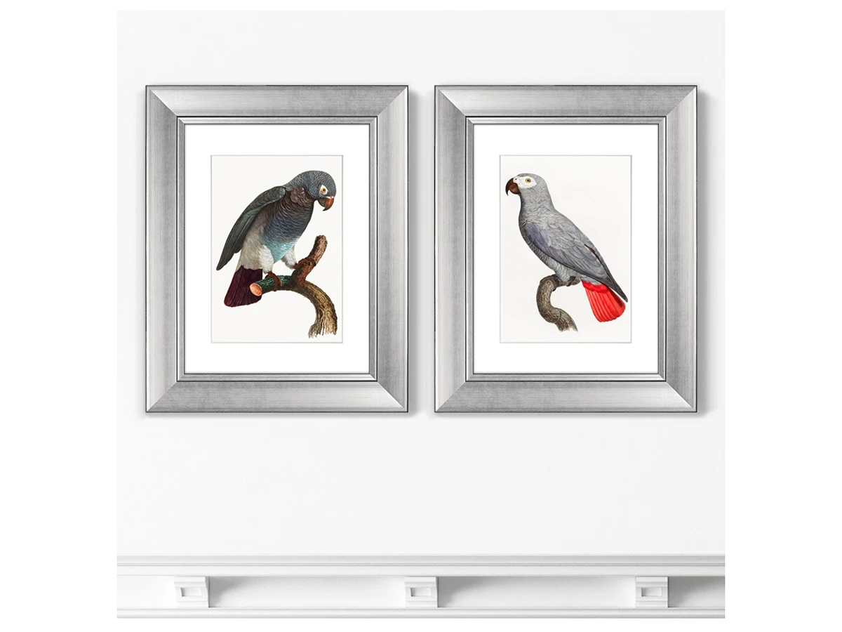 Набор из 2-х репродукций картин в раме Beautiful parrots №2, 1872г. 635427  - фото 3
