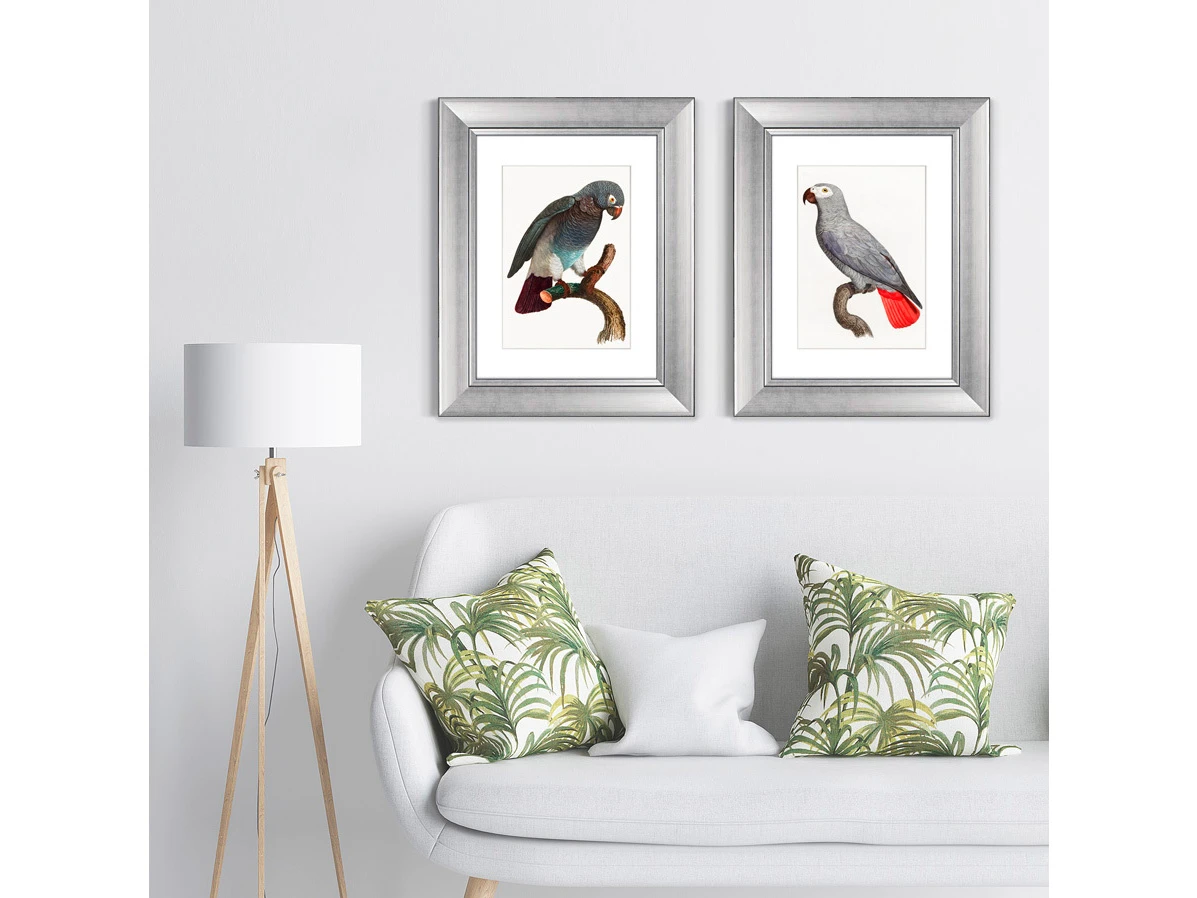 Набор из 2-х репродукций картин в раме Beautiful parrots №2, 1872г. 635427  - фото 8
