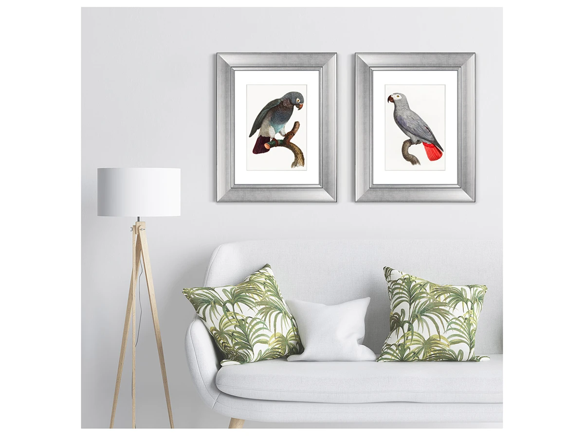 Набор из 2-х репродукций картин в раме Beautiful parrots №2, 1872г. 635427  - фото 4