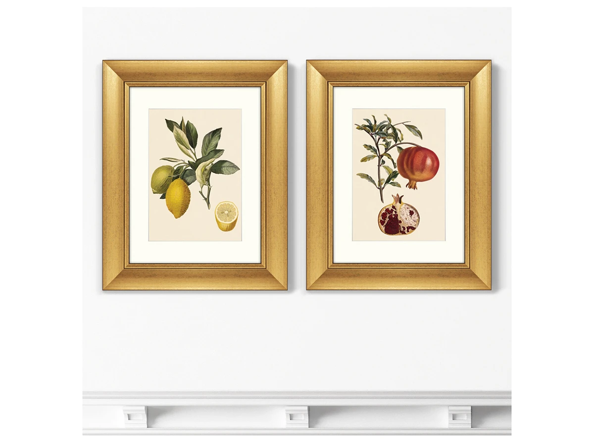 Набор из 2-х репродукций картин в раме Juicy fruit lithography №10, 1870г. 635432  - фото 3