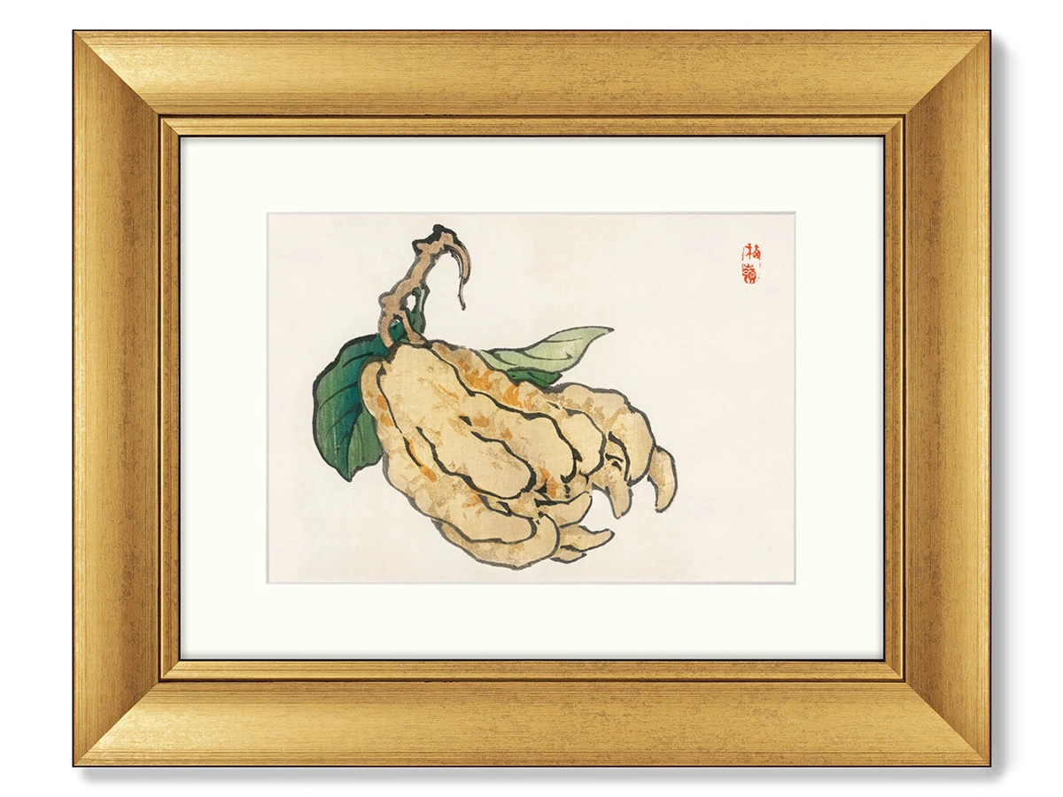 Набор из 4-х репродукций картин в раме Persimmons, kuwai bulbs, etrog and gourds, 1885г. 635456  - фото 4