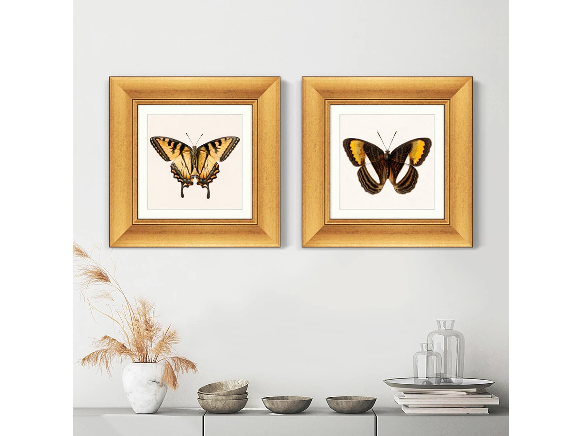 Набор из 2-х репродукций картин в раме Two butterflies, 1711г. 635460  - фото 8