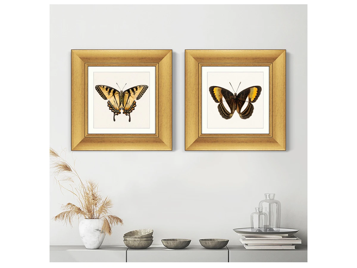 Набор из 2-х репродукций картин в раме Two butterflies, 1711г. 635460  - фото 4