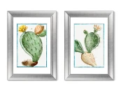 Набор из 2-х репродукций картин в раме Semaphore Prickly Pear, 1793г. 635473