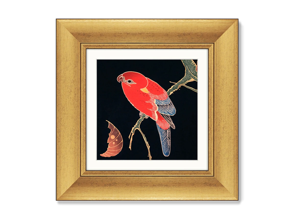 Набор из 2-х репродукций картин в раме Red and Green Parrots, 1900г. 635496  - фото 2