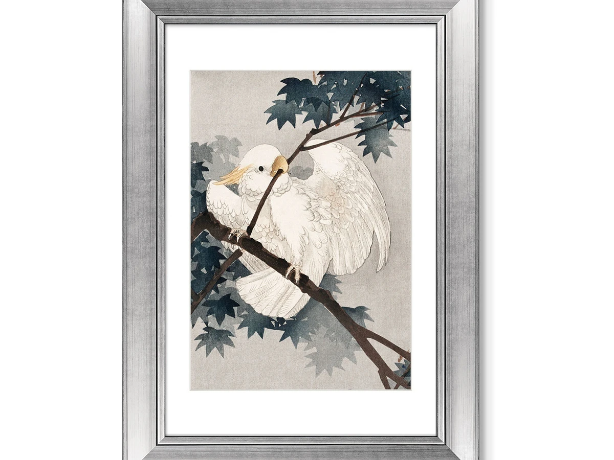 Репродукция картины в раме Yellow crested cockatoo, 1900г. 635529