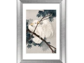 Репродукция картины в раме Yellow crested cockatoo, 1900г. 635529