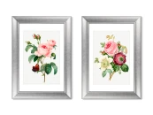 Набор из 2-х репродукций картин в раме Antique plants drawn №4, 1802г.