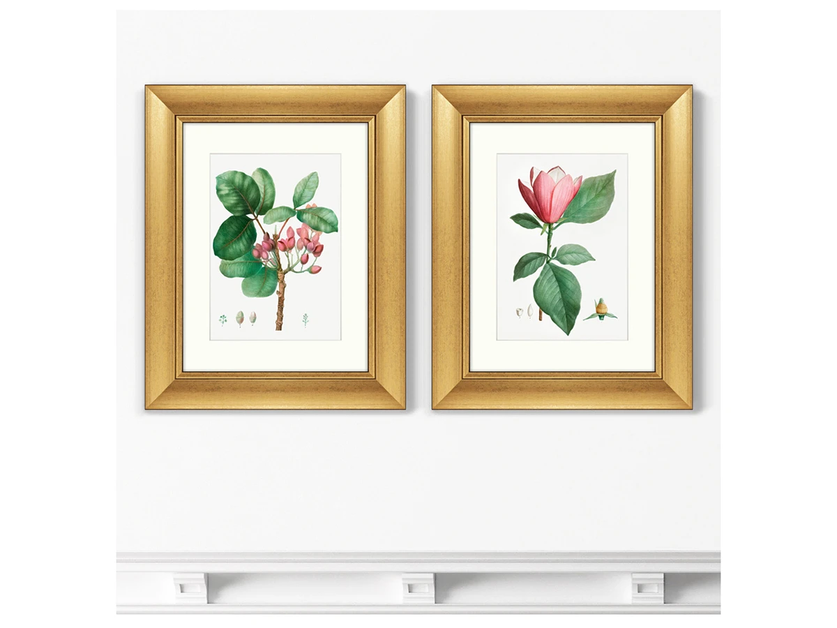Набор из 2-х репродукций картин в раме Lily magnolia & Pistaccia vera, 1801г. 635557  - фото 3