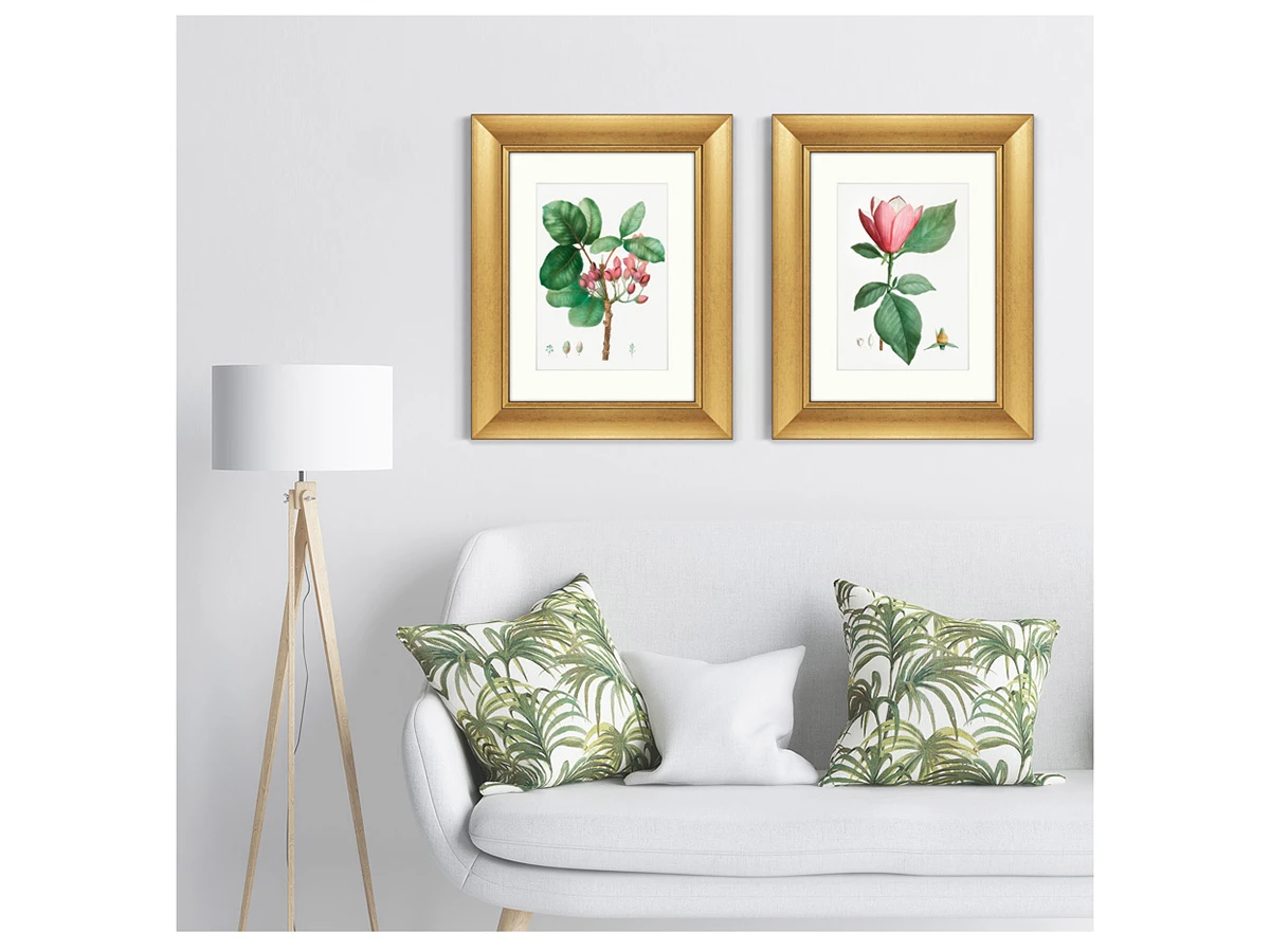 Набор из 2-х репродукций картин в раме Lily magnolia & Pistaccia vera, 1801г. 635557  - фото 4