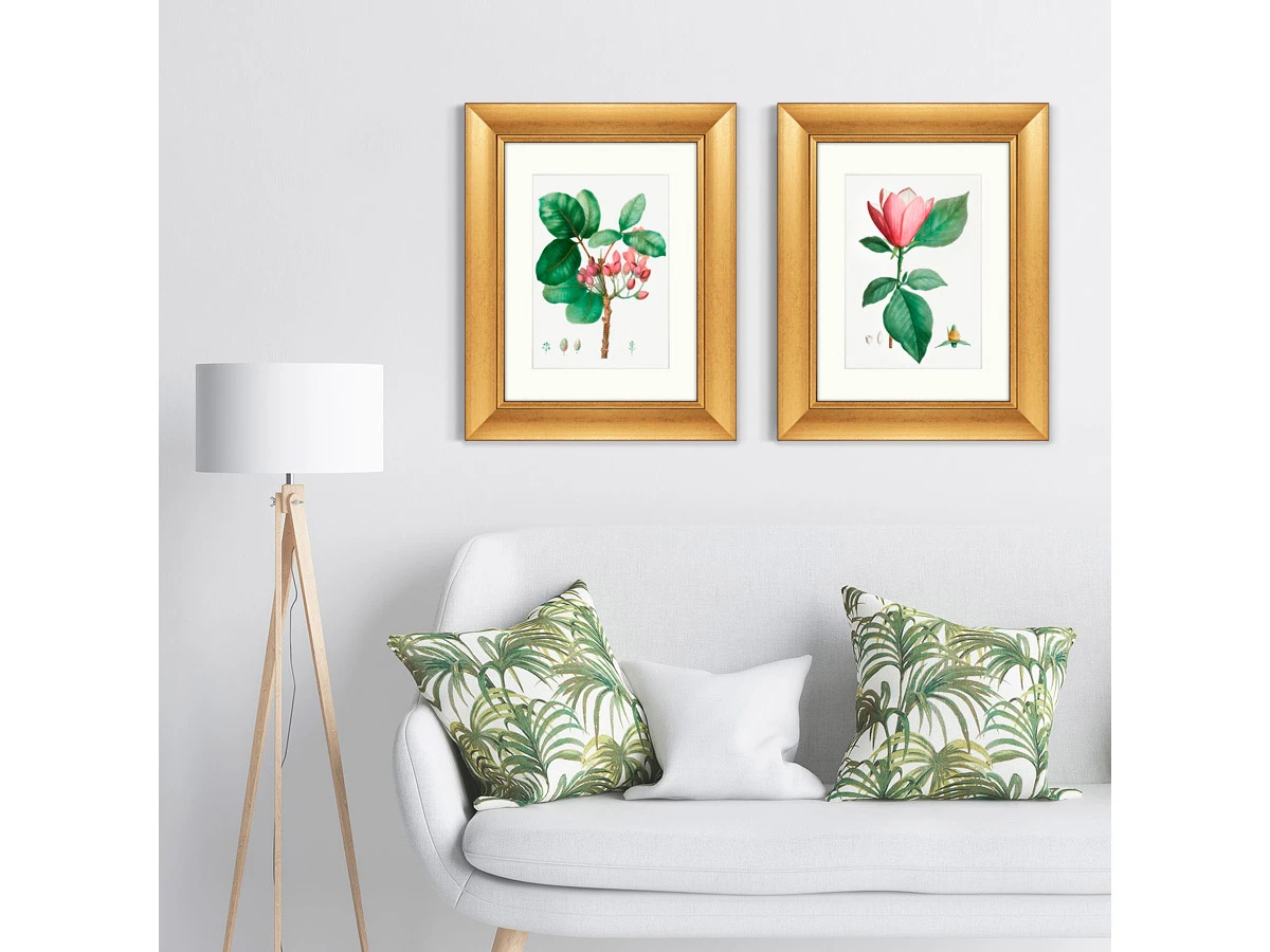 Набор из 2-х репродукций картин в раме Lily magnolia & Pistaccia vera, 1801г. 635557  - фото 8
