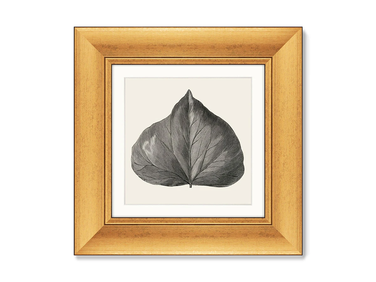 Набор из 4-х репродукций картин в раме The Ivy leaves, 1884г. 635575  - фото 5