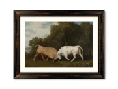 Репродукция картины в раме Bulls Fighting, 1786г. 635581